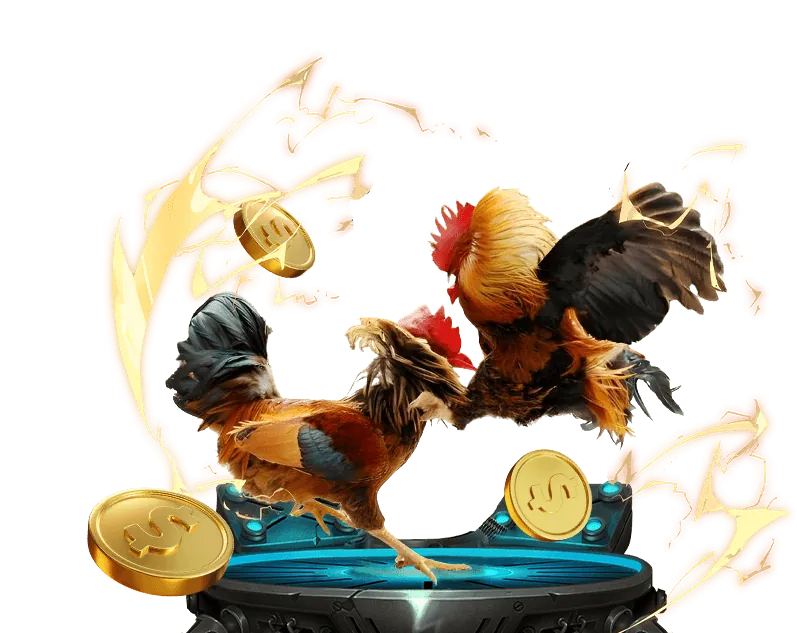 Kinh nghiệm và chiến thuật soi kèo đá gà 168win